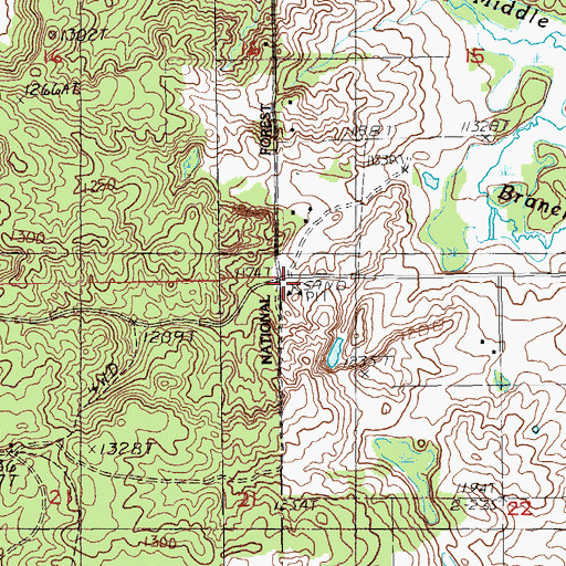 Topographic Map of Township of Chase, MI