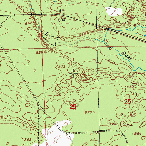 Topographic Map of Township of Chippewa, MI