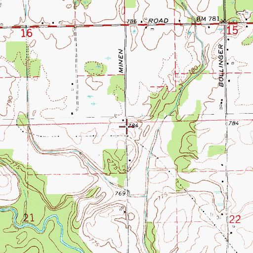 Topographic Map of Township of Crystal, MI