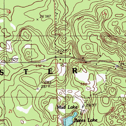 Topographic Map of Township of Custer, MI