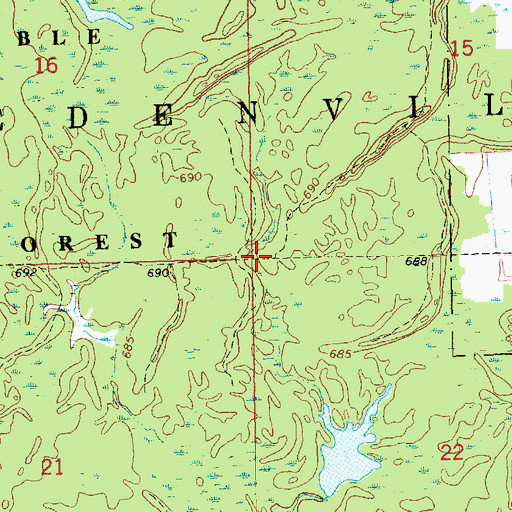 Topographic Map of Township of Edenville, MI