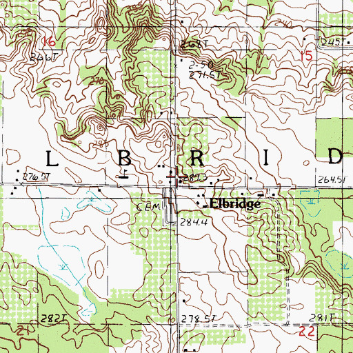 Topographic Map of Township of Elbridge, MI