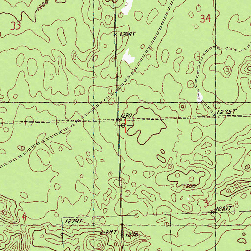 Topographic Map of Township of Elmer, MI