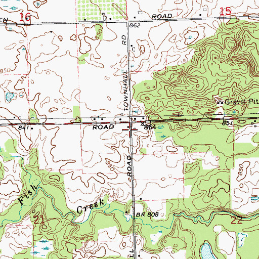 Topographic Map of Township of Evergreen, MI