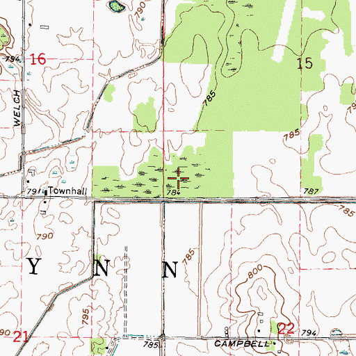 Topographic Map of Township of Flynn, MI