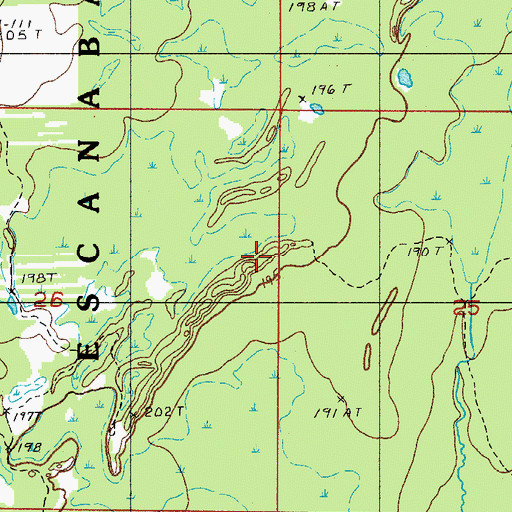 Topographic Map of Township of Ford River, MI