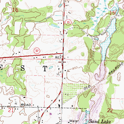 Topographic Map of Township of Forest, MI
