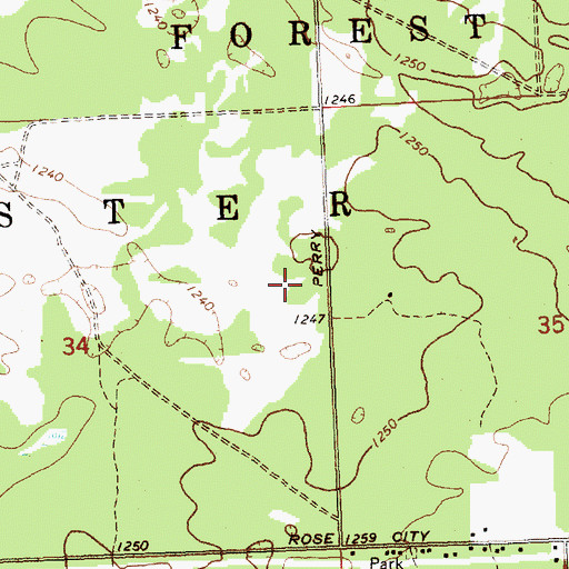 Topographic Map of Township of Foster, MI