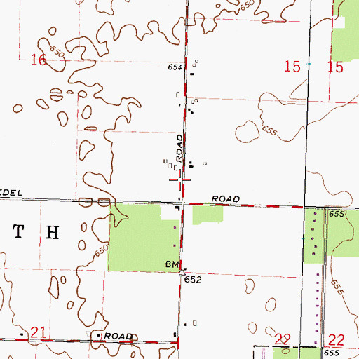 Topographic Map of Township of Frankenmuth, MI