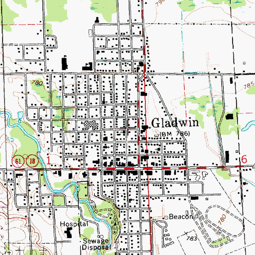 Topographic Map of City of Gladwin, MI