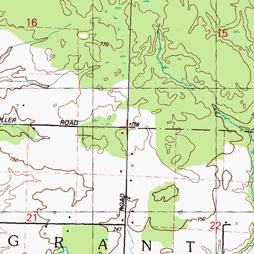 Topographic Map of Township of Grant, MI
