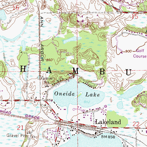 Topographic Map of Township of Hamburg, MI