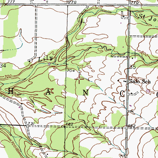 Topographic Map of Township of Hancock, MI