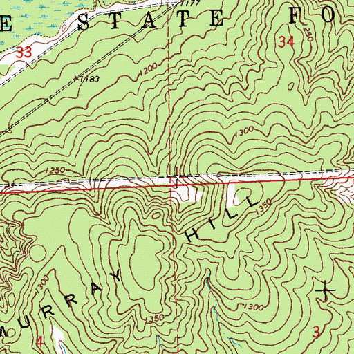 Topographic Map of Township of Higgins, MI