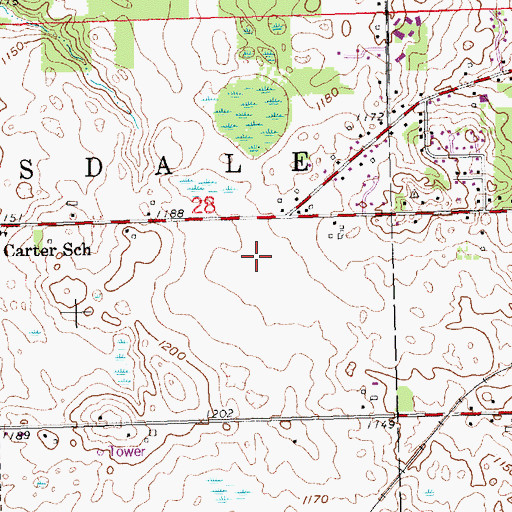 Topographic Map of Township of Hillsdale, MI