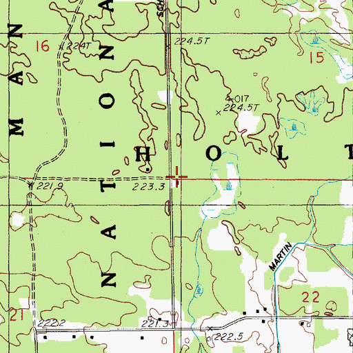 Topographic Map of Township of Holton, MI