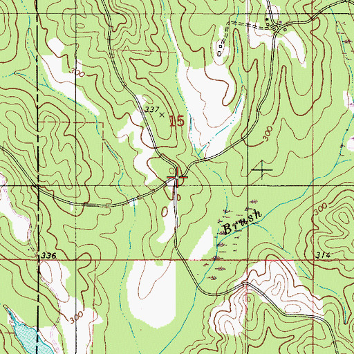 Topographic Map of Brush Creek, AL