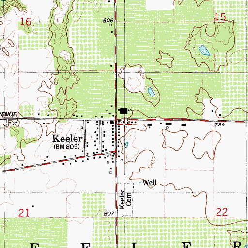 Topographic Map of Township of Keeler, MI