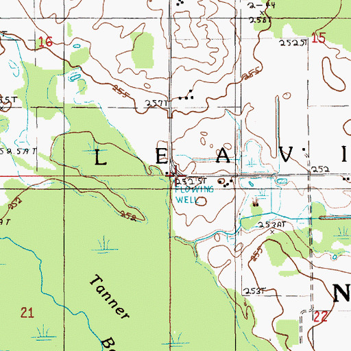 Topographic Map of Township of Leavitt, MI