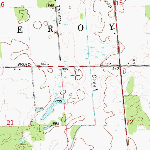 Topographic Map of Township of Leroy, MI