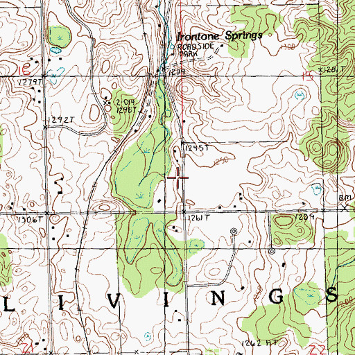 Topographic Map of Township of Livingston, MI