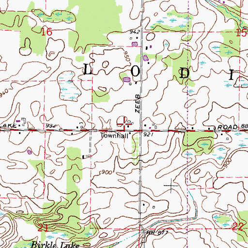 Topographic Map of Township of Lodi, MI