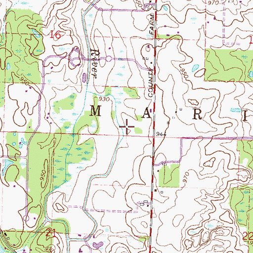 Topographic Map of Township of Marion, MI