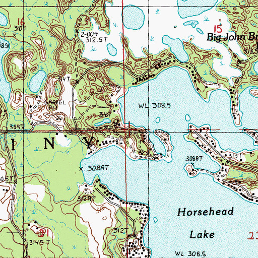 Topographic Map of Township of Martiny, MI