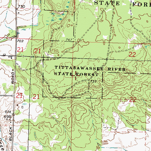 Topographic Map of Township of Mason, MI