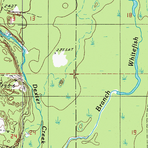 Topographic Map of Township of Mathias, MI