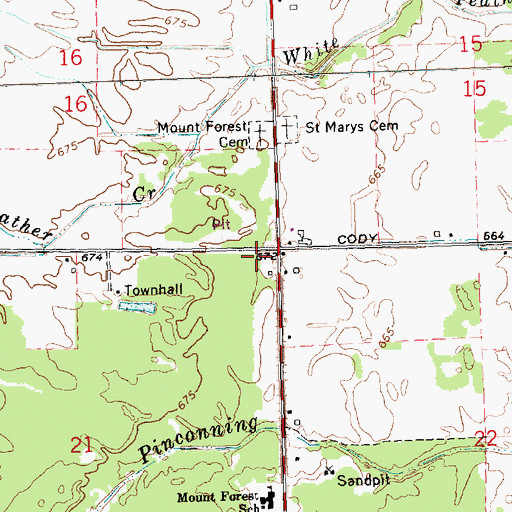 Topographic Map of Township of Mount Forest, MI