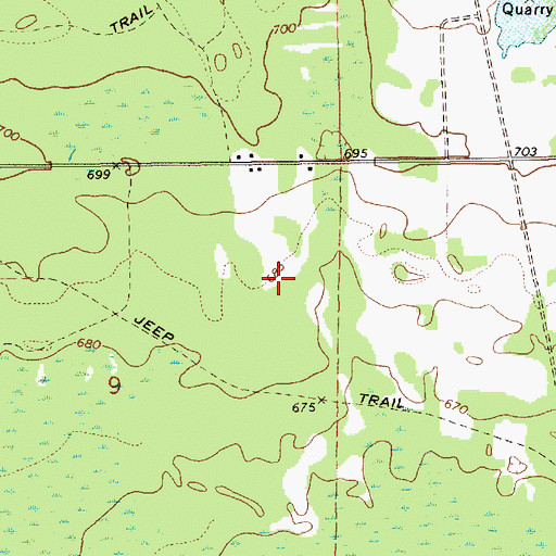 Topographic Map of Township of Mueller, MI