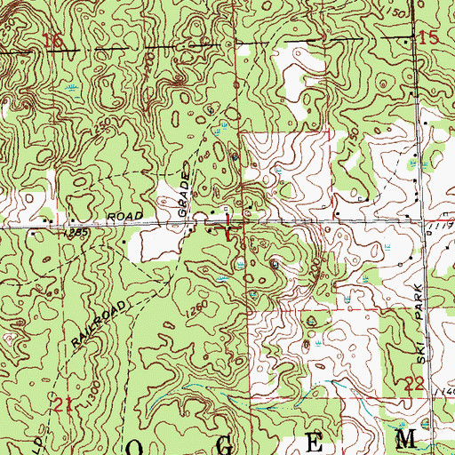 Topographic Map of Township of Ogemaw, MI