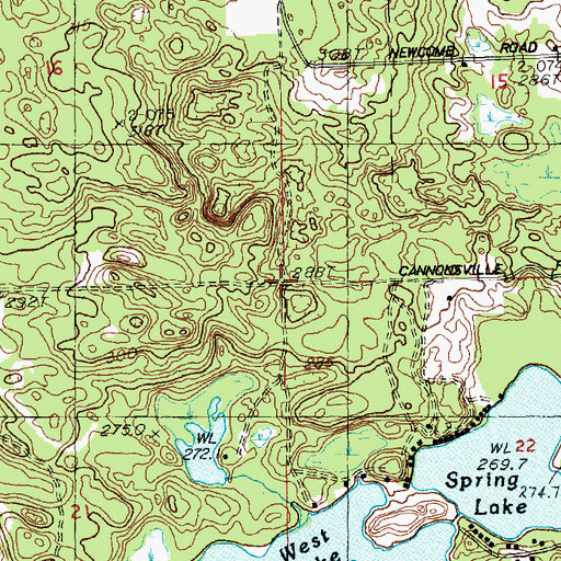 Topographic Map of Township of Pine, MI