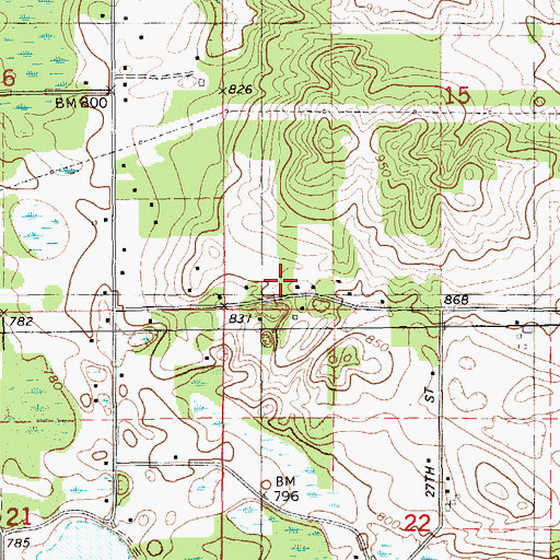 Topographic Map of Township of Pine Grove, MI