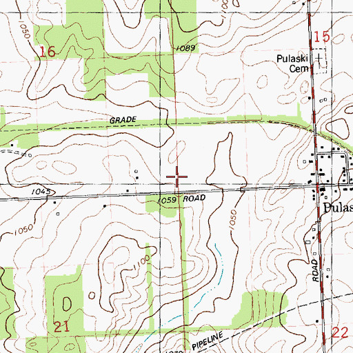 Topographic Map of Township of Pulaski, MI