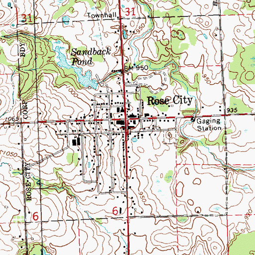 Topographic Map of City of Rose City, MI