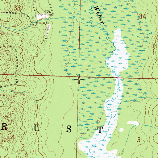 Topographic Map of Township of Rust, MI