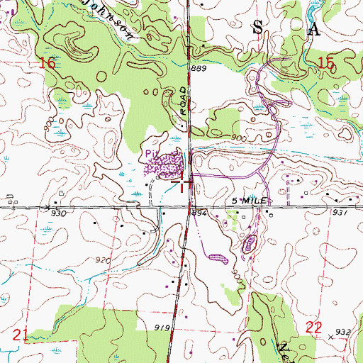 Topographic Map of Township of Salem, MI