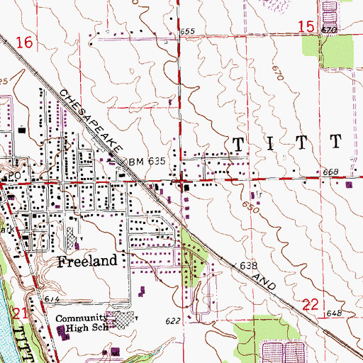 Topographic Map of Township of Tittabawassee, MI