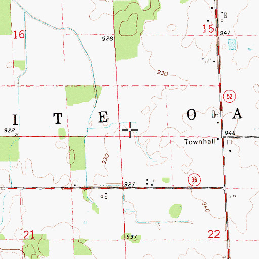 Topographic Map of Township of White Oak, MI