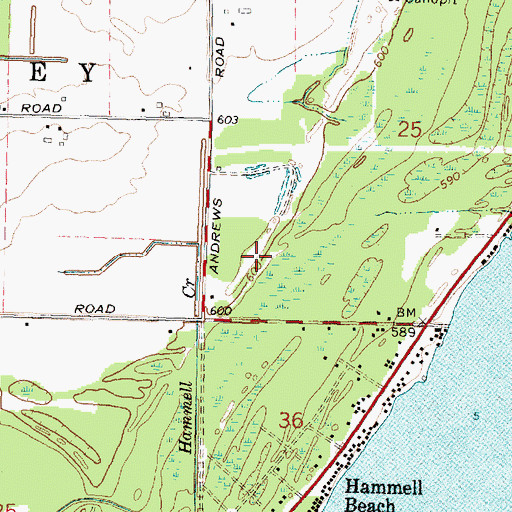 Topographic Map of Township of Whitney, MI