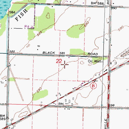 Topographic Map of Township of Wisner, MI