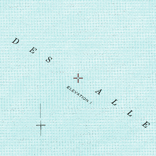 Topographic Map of Lac des Allemands, LA