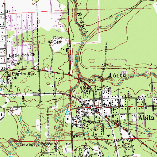 Topographic Map of Long Branch, LA