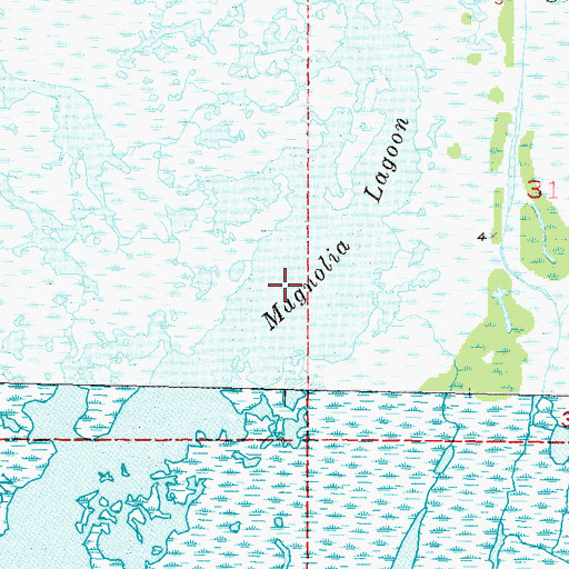 Topographic Map of Magnolia Lagoon, LA