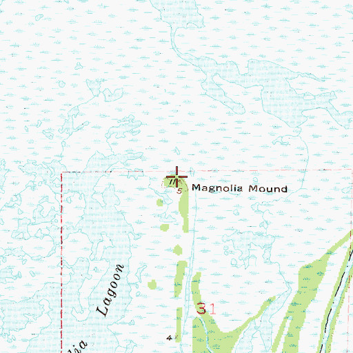 Topographic Map of Magnolia Mound, LA