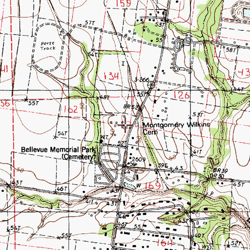 Topographic Map of Montgomery - Wilkins Cemetery, LA