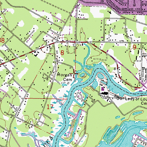 Topographic Map of Morgan Cemetery, LA