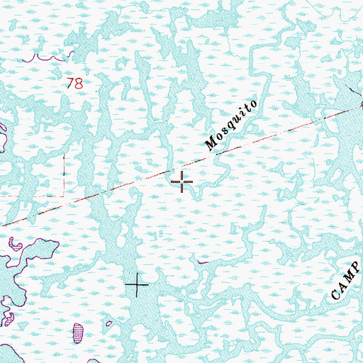 Topographic Map of Mosquito Bayou, LA